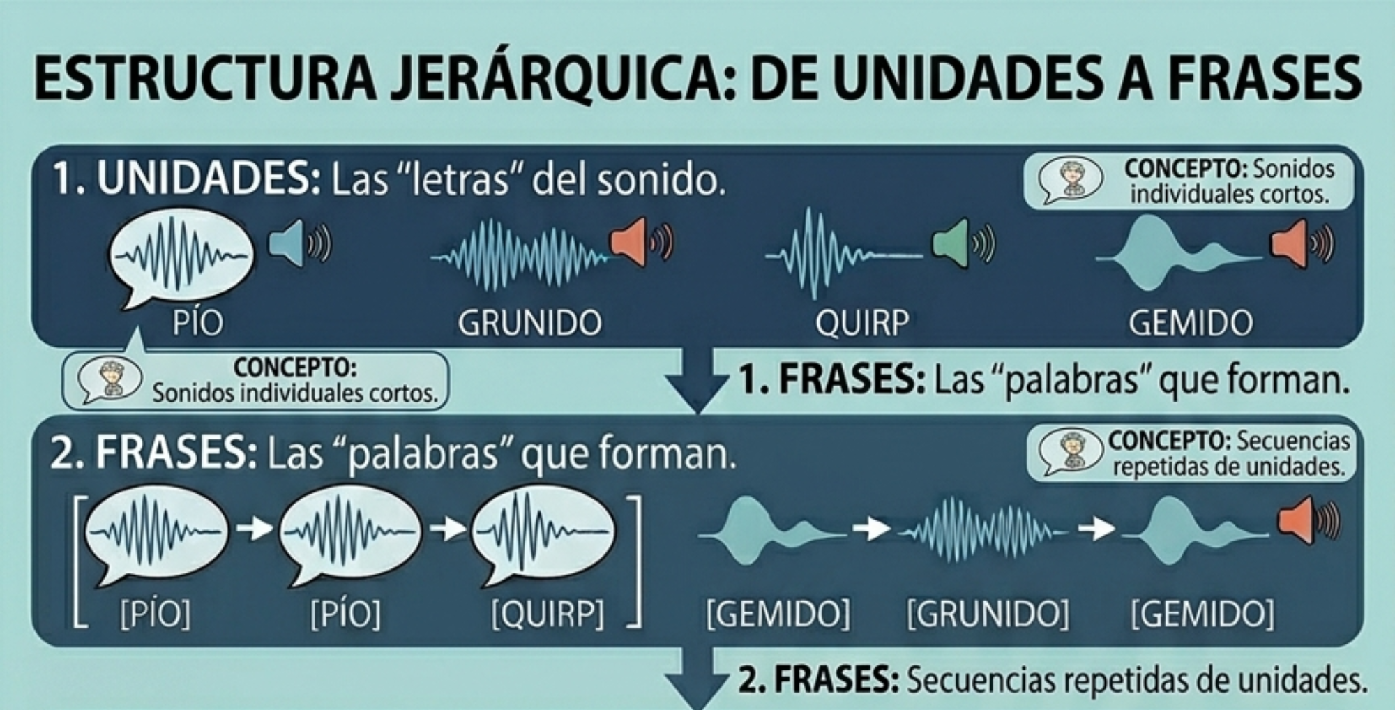 Unidades y frases