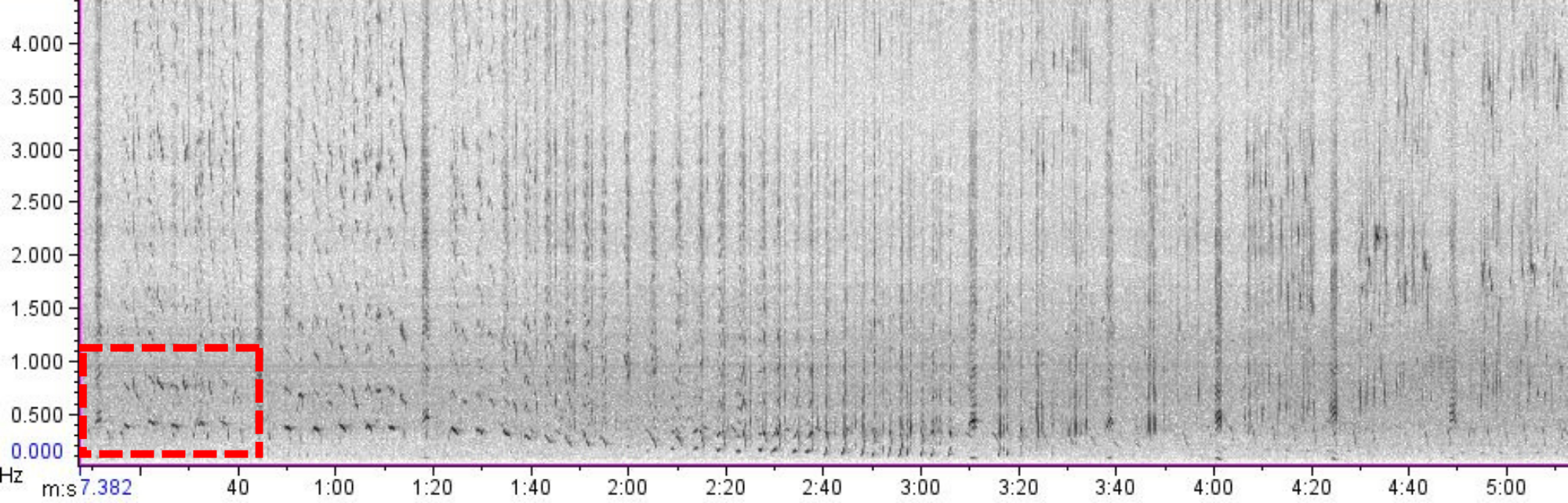 Espectrograma de canto completo