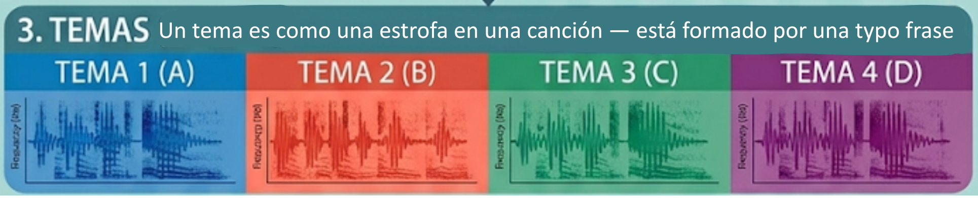 Temas